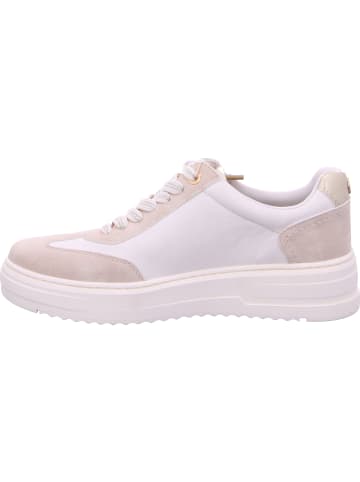 Marco Tozzi Schnürschuhe in CREAM COMB