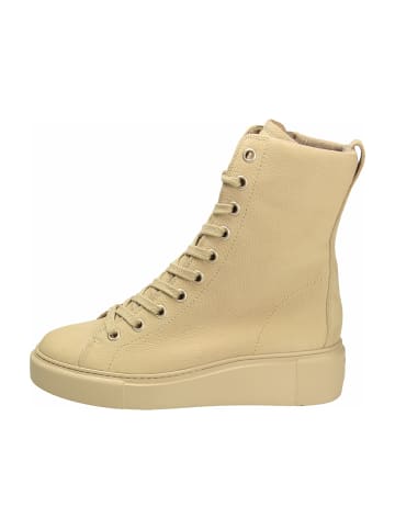 Paul Green Schnürboots in Beige