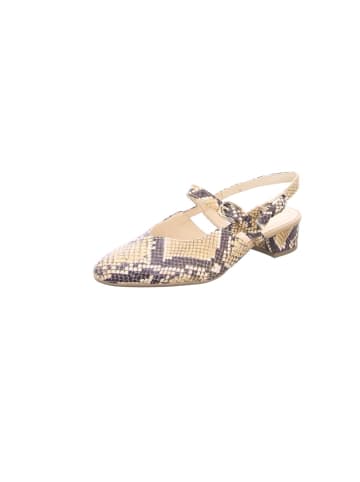 Gabor Sling-Pumps für Damen in braun