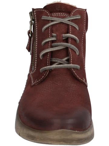 Josef Seibel Stiefeletten für Damen in bordeaux
