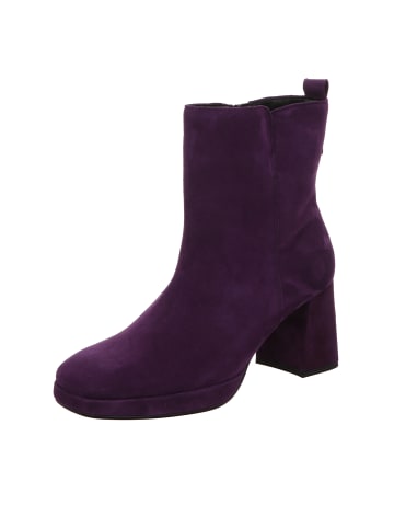 Gabor Stiefelette in lila