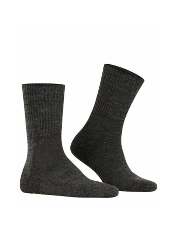 Falke Socken 2er Pack in Dunkelgrau