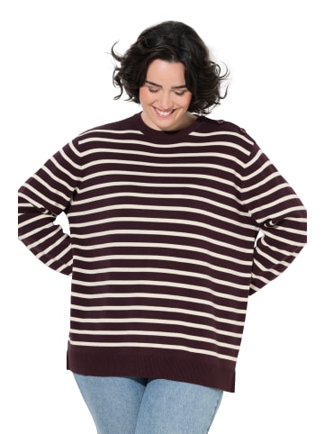 Ulla Popken Pullover in mahagoni