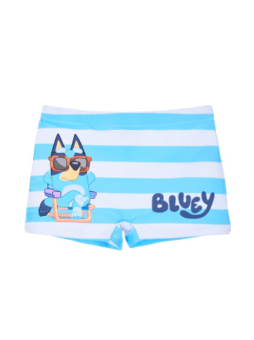 Bluey Badehose Bingo Shorts in Hell-Blau
