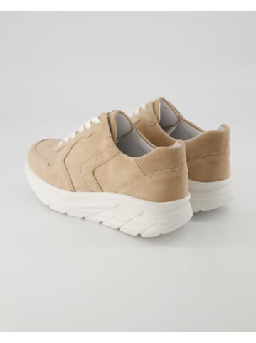 Semler Sneaker in Beige