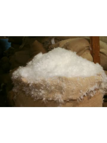 Horst Schäfer Kopfkissen "Mittel" in weiß