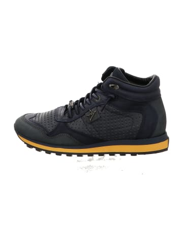 Cetti Sneaker High in Blau