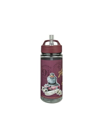 Harry Potter Trinkflasche Wasserflasche 500ml