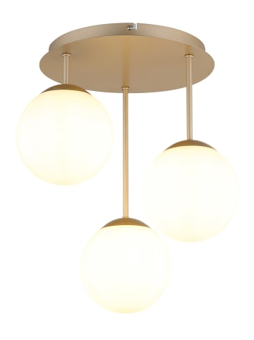 Globo lighting Deckenleuchte "HARMON" in gold