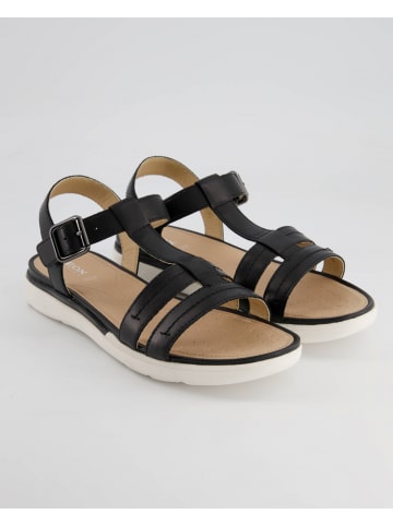 Geox Sandalen in Schwarz