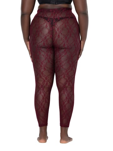 Ulla Popken Strumpfhose in weinrot