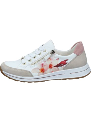 Ara Shoes Sneakers Low in weiß