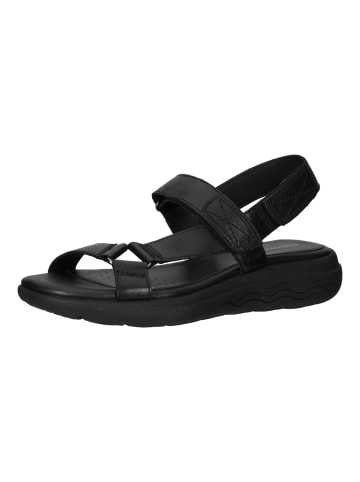 Geox Sandalen in Schwarz