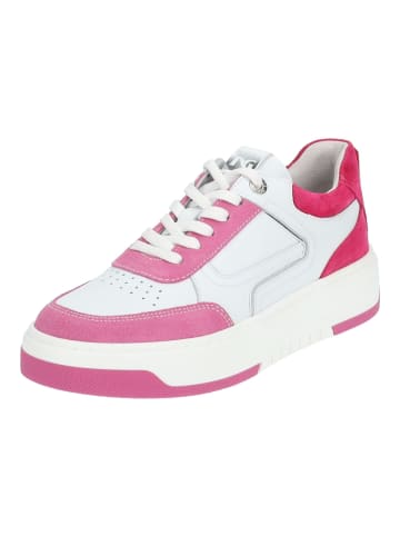 Nero Giardini Sneaker in Weiß/Pink