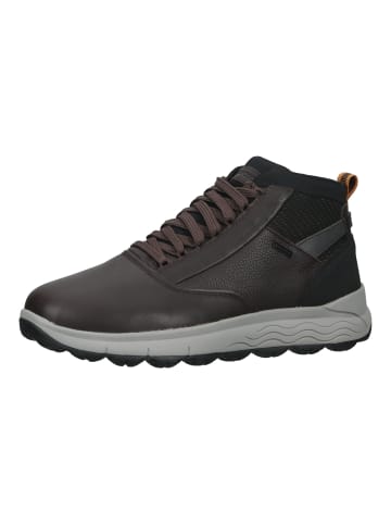 Geox Stiefelette in Braun