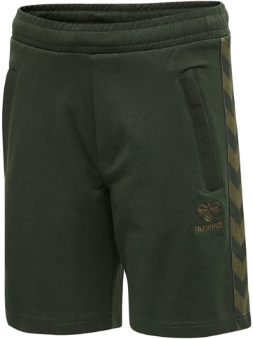 Hummel Hummel Shorts Hmlmove Multisport Unisex Kinder in ROSIN