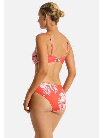 Sea Level Aloha Unterteile in rot