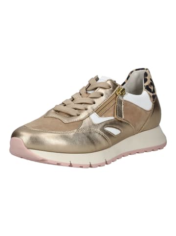 Gabor Sneaker Sand