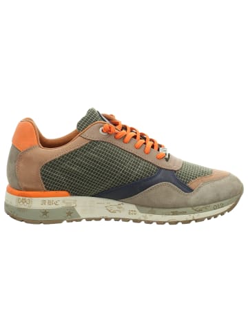 Cetti Sneaker Low in grün