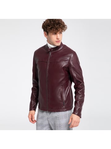 Wittchen Stylish leather jacket, man in Bordeaux