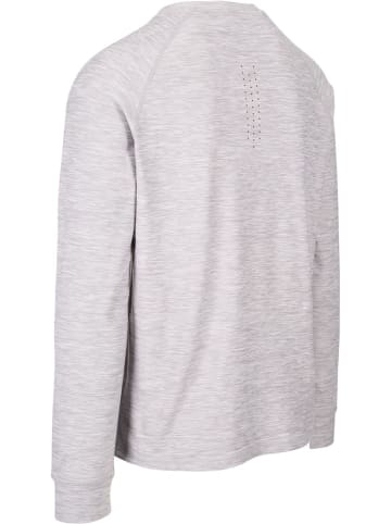 DLX Longsleeve in Grau