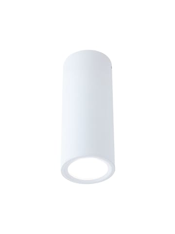 paulmann LED Deckenleuchte Barrel