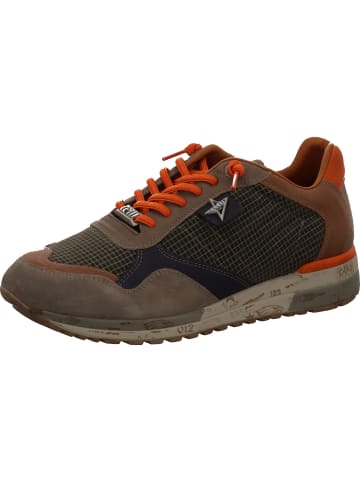 Cetti Schnürschuh in khaki