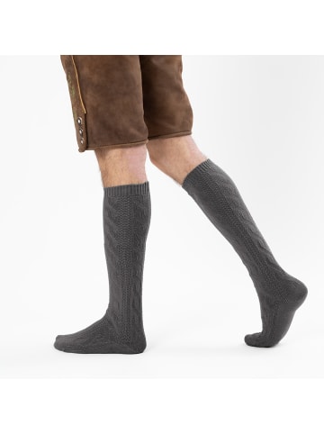 Occulto Lange Trachtensocken Bergdistel in Dunkelgrau