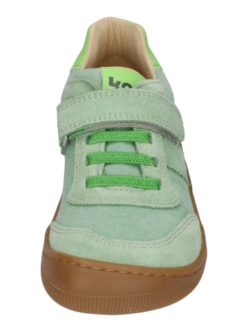 KOEL Sneaker Low DYLAN COTTON 3.0 in grün
