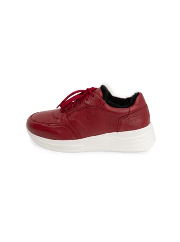 VITAFORM Hirschleder Sneaker in cranberry