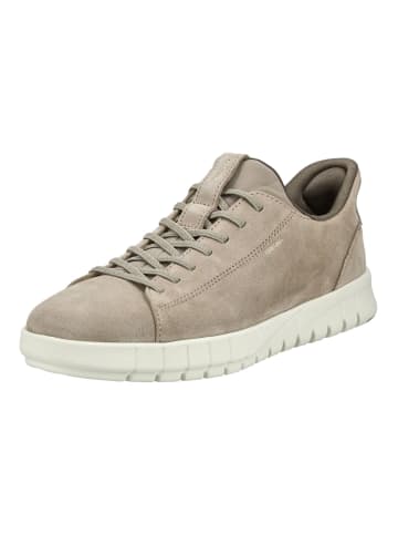 Geox Sneaker in Sand
