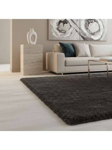 KADIMA DESIGN Teppich Hochflor Shaggy Waschbar Einfarbig SALZACH Strapazierfähig in Grau