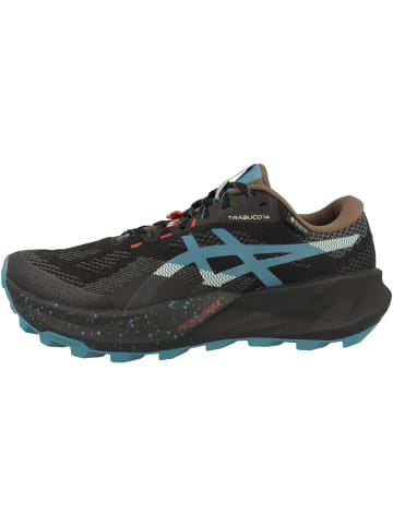 asics Laufschuhe Trabuco 14 GTX in blau