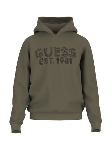 Guess Hoodie 'BEAU' in grün