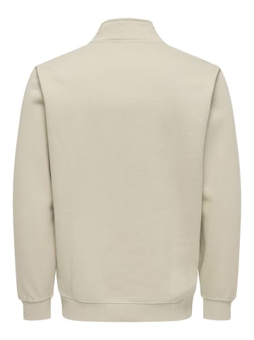 ONLY & SONS Sweatshirt in Silver Lining