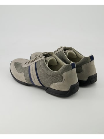 Pius Gabor Sneaker low in Grau