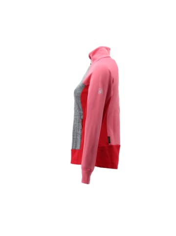 Jack Wolfskin Jacke Sky Peak HDD Hybrid Nature Tech Fleece in Pink