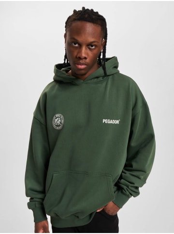PEGADOR PEGADOR Hoodie in green