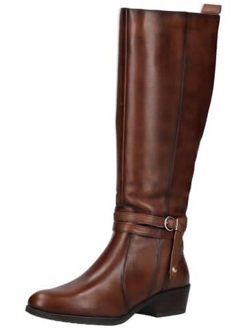 Pikolinos Stiefel in Dunkelbraun