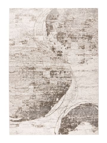 Vivorum Wohnzimmer Kurzflor Teppich Chalk 325 in silber - beige