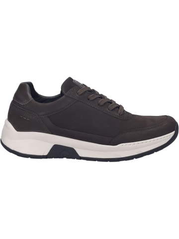 Josef Seibel Sneaker Mitchell 03 in braun