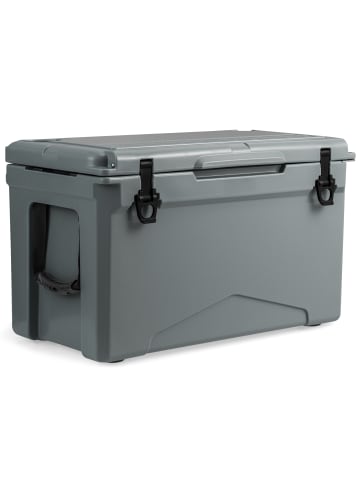 COSTWAY 47L Isolierbox Kühlbox tragbar in Grau