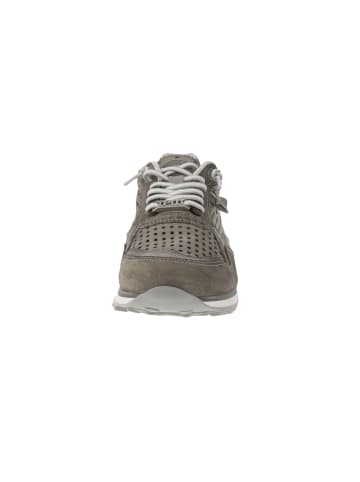 Cetti Sneaker low C-848 EXP V25 in Grau