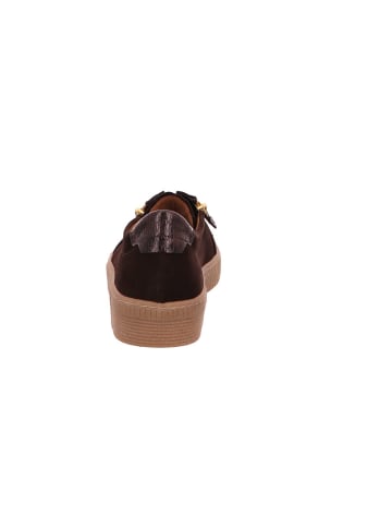 Gabor Sneaker Low in dunkelbraun