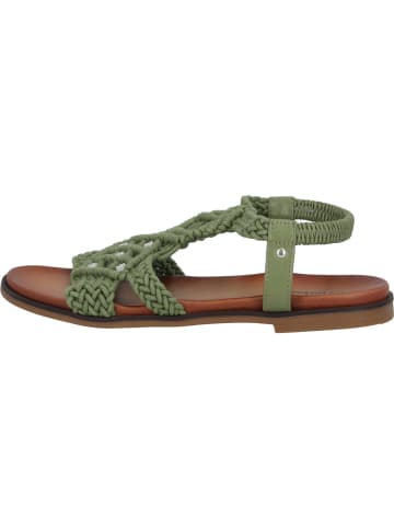 palado Riemchensandalen in Grün