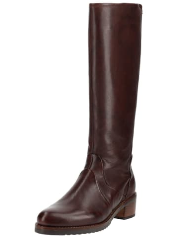 B.Z. MODA by EVERYBODY Stiefel SIMERIA in Kastanie