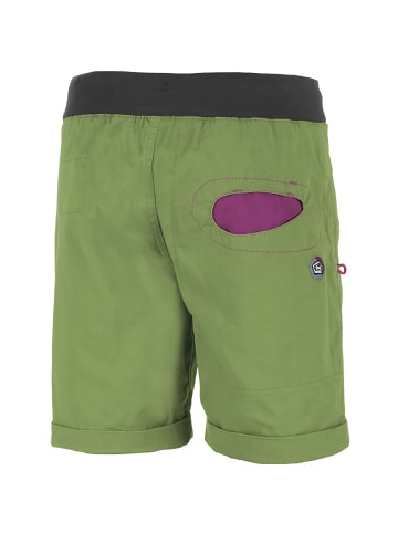 E9 M STOUT 70 EU in Grün