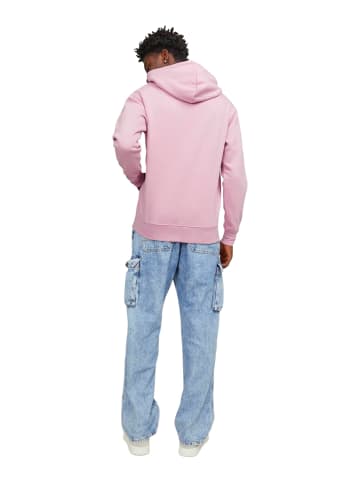 Jack & Jones Sweatshirt JORVESTERBRO in Pink