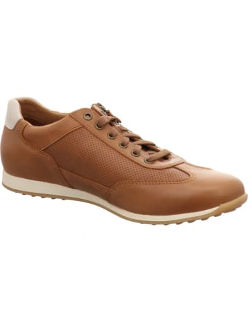 Mephisto Sneaker Low in braun