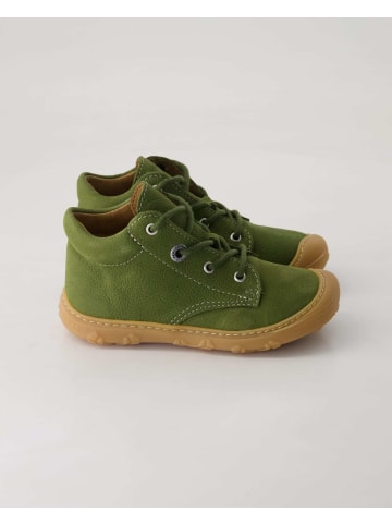 PEPINO Schnürschuhe in Grün